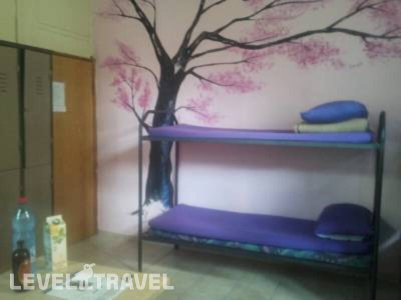 Фотография Momo's Hostel