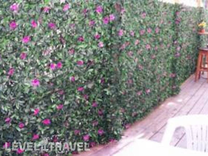 Фотография Momo's Hostel