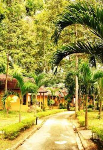 Tonsai Bay Resort