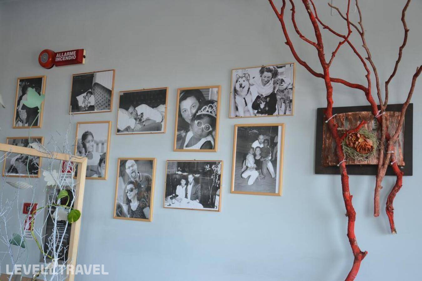 фотографии отеля Corallo Hotel в Италия(Марина Чентро) - фото №28