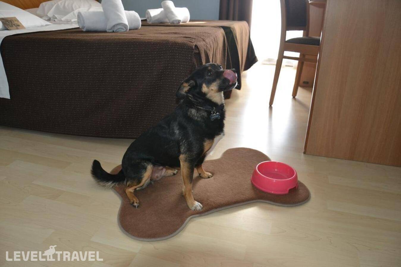 фотографии отеля Corallo Hotel в Италия(Марина Чентро) - фото №14