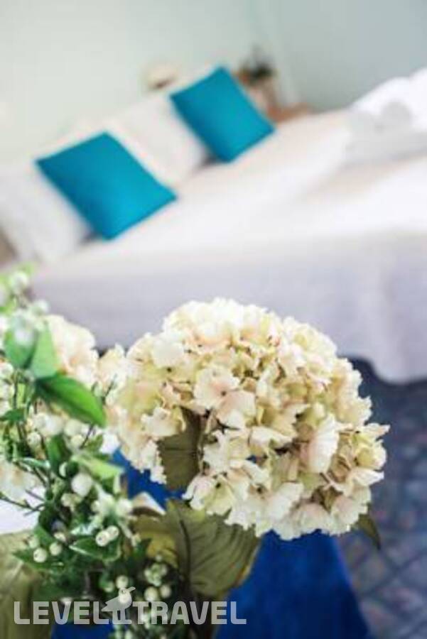 фотографии отеля San Pietro Hotel в Италия(Чезенатико) - фото №5