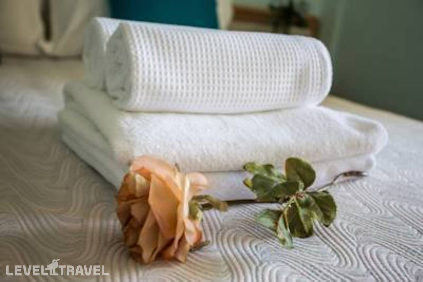 фотографии отеля San Pietro Hotel в Италия(Чезенатико) - фото №17