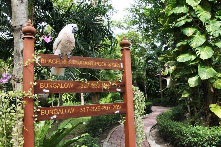 Pinnacle Resort Samui