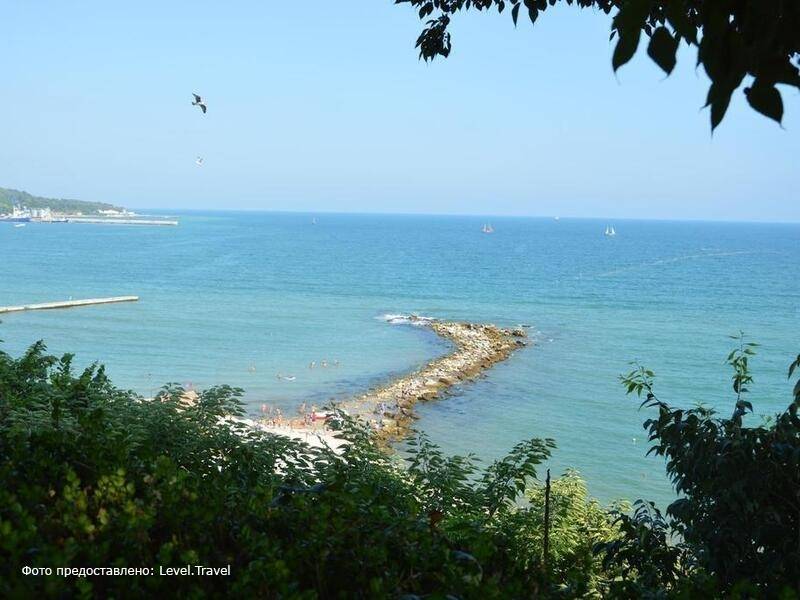 Фотография Paris Hotel