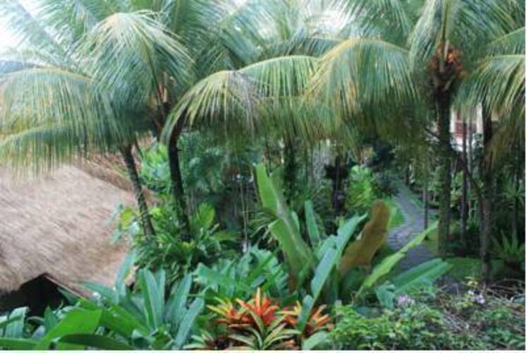 Kori Ubud Resort & Spa