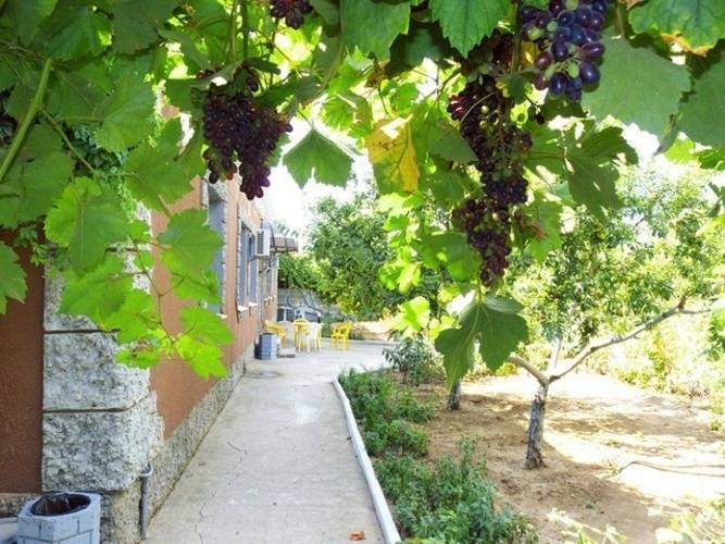 Пансионат Море Небо Берег