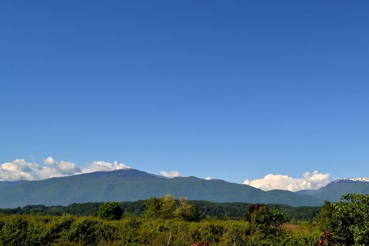 Арабика Отель