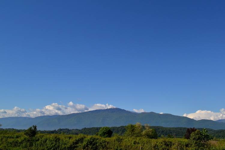 Арабика Отель