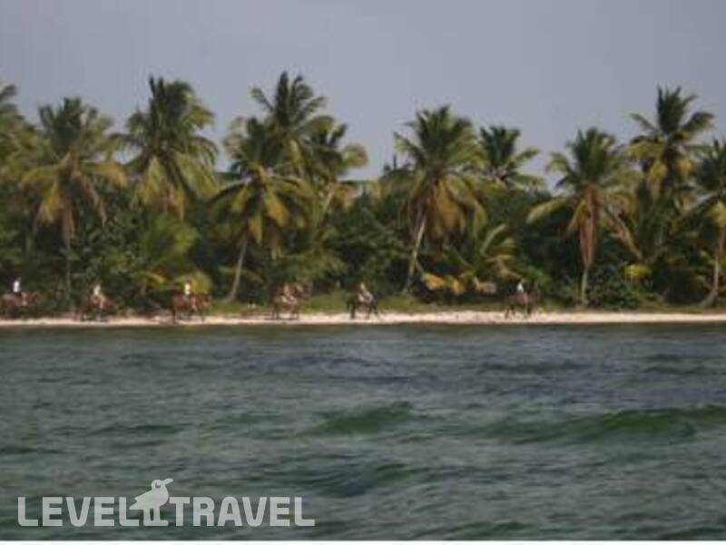 Фотография Bavaro Green Apartments