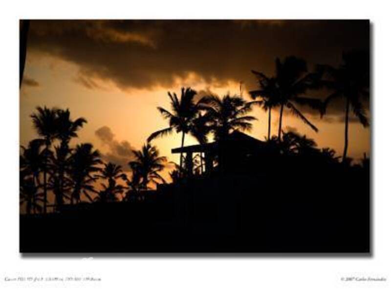 Фотография Bavaro Green Apartments
