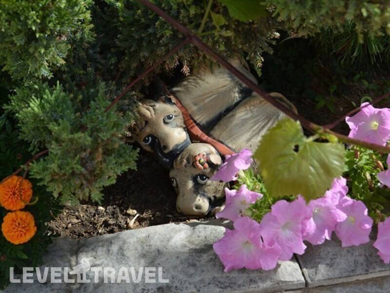 Фотография El Patio (Итальянский Дворик)