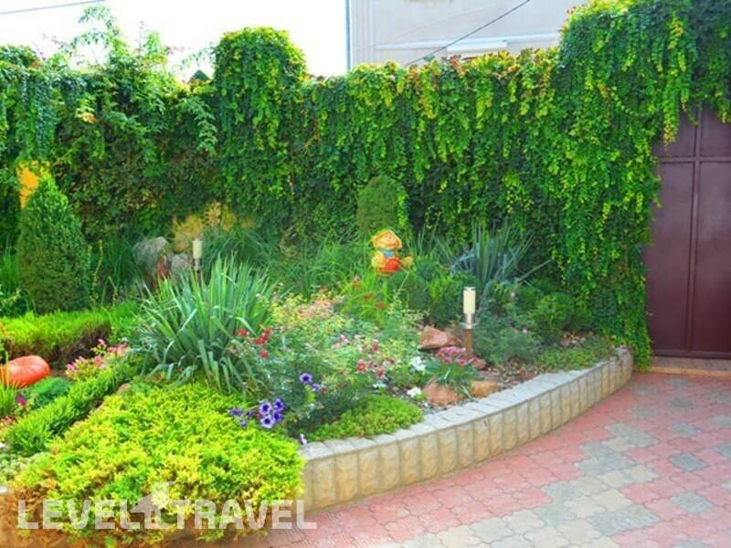 Фотография El Patio (Итальянский Дворик)
