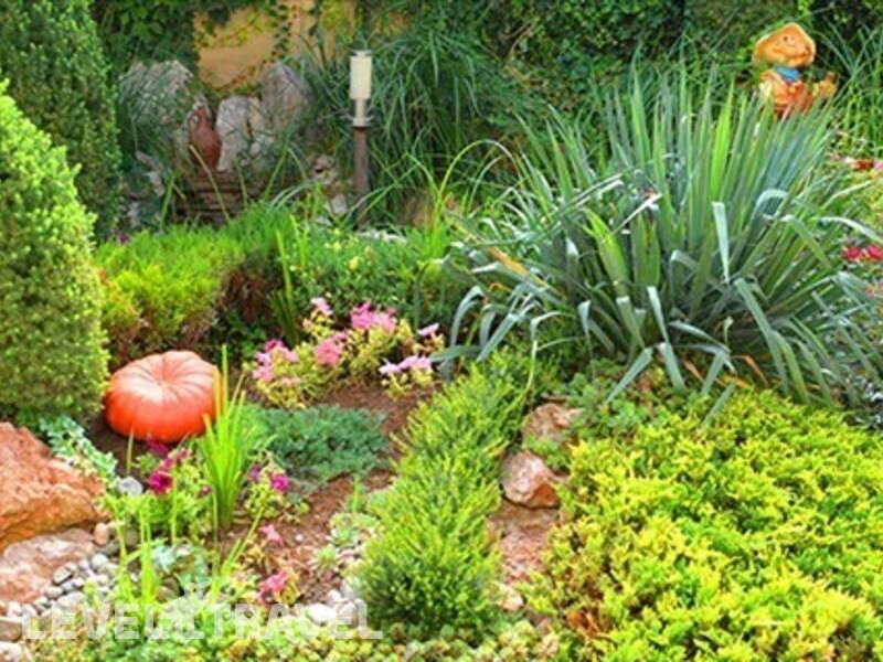 Фотография El Patio (Итальянский Дворик)