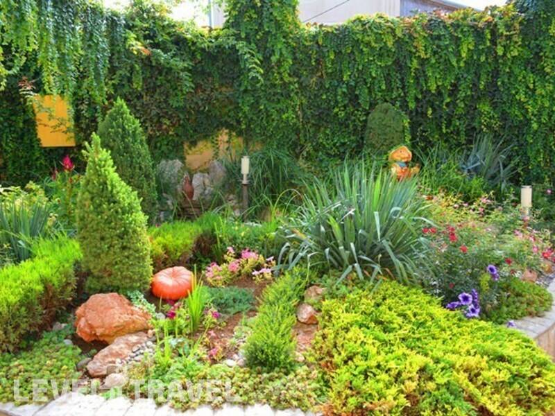 Фотография El Patio (Итальянский Дворик)
