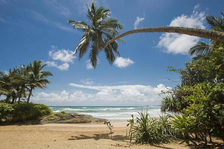 Rockside Beach Resort