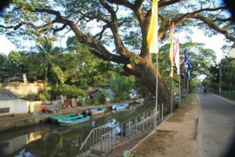 Olanro Negombo