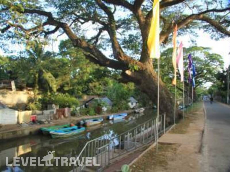 Фотография Olanro Negombo