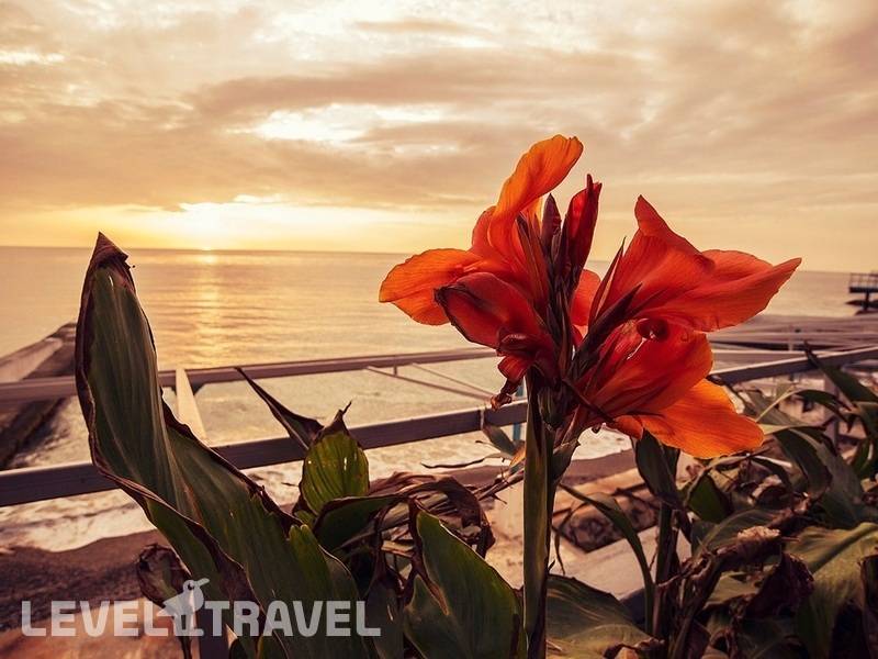 Фотография Гурзуф Центр Комплекс Отдыха (Отделение Спутник) (Ex.Комплекс Спутник (Центр Отдыха Жемчужина Крыма))