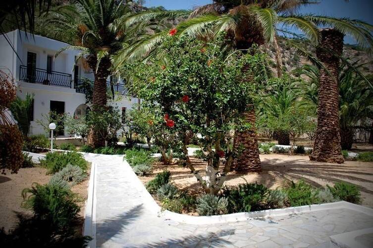 Avra Palm