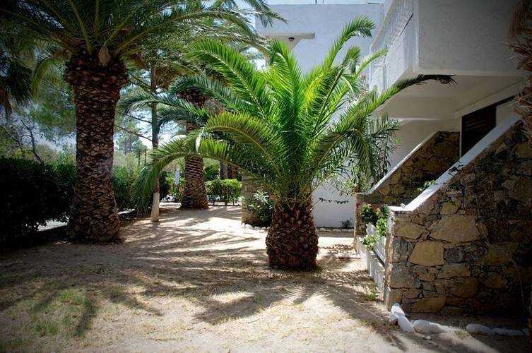 Avra Palm