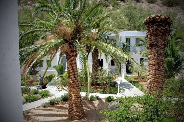 Avra Palm