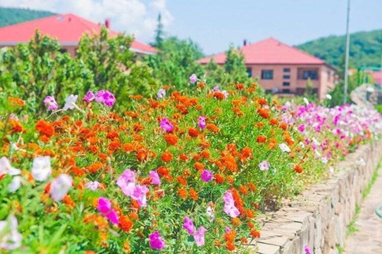 Курортный Комплекс Садко