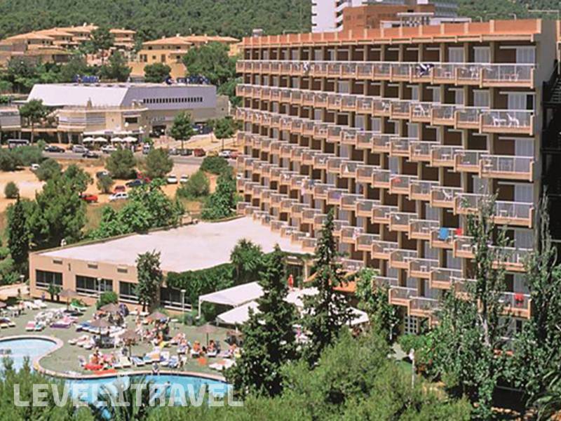 Фотография Don Bigote Hotel