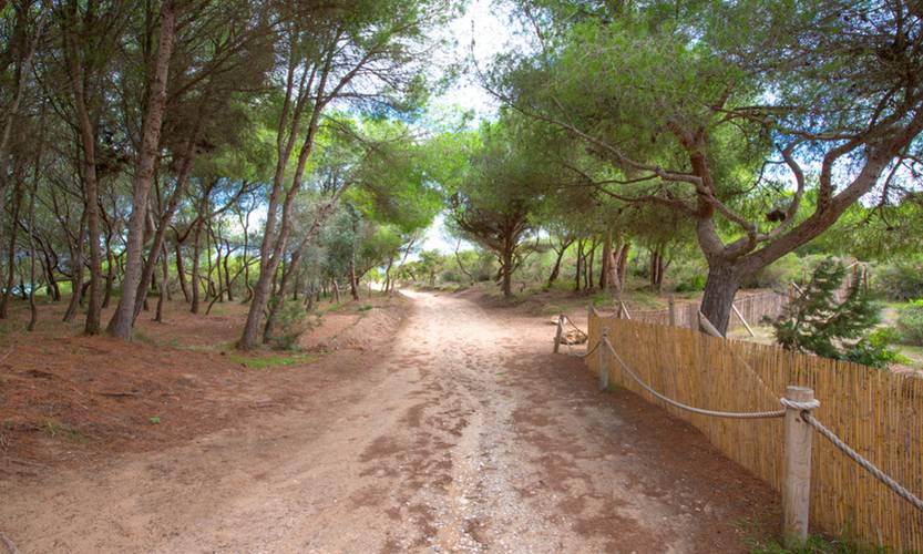 Iberostar Cala Millor (Adults Only 16+)