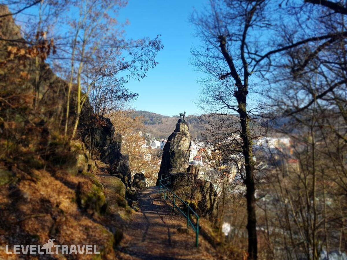 фотографии отеля Madonna Apartments в Чехия(Карловы Вары) - фото №19