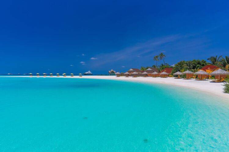 Dhigufaru Island Resort