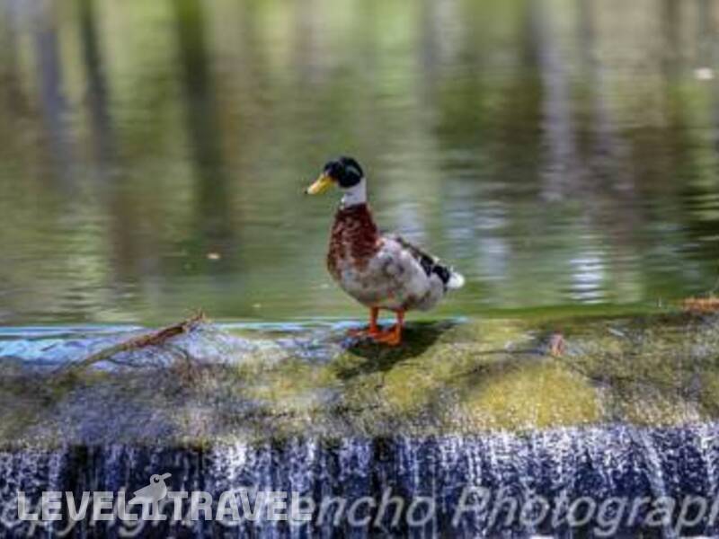 Фотография Parque Mar