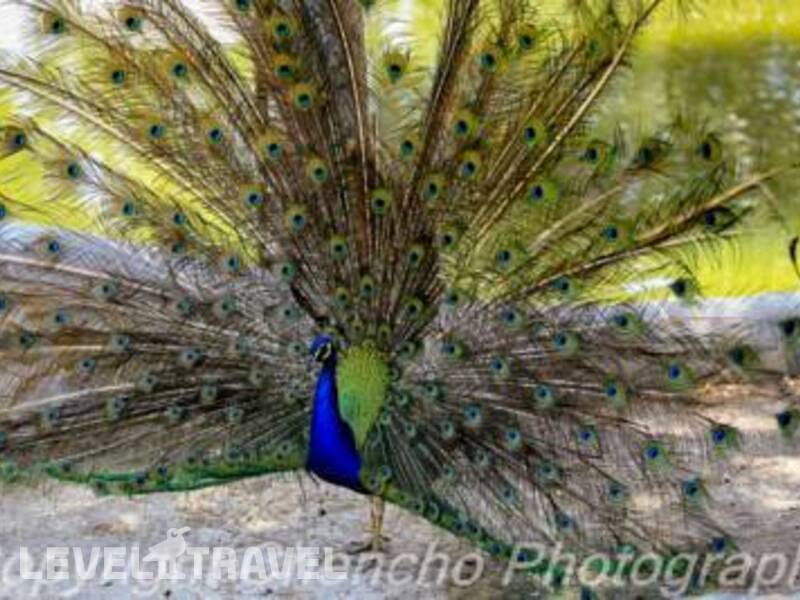 Фотография Parque Mar
