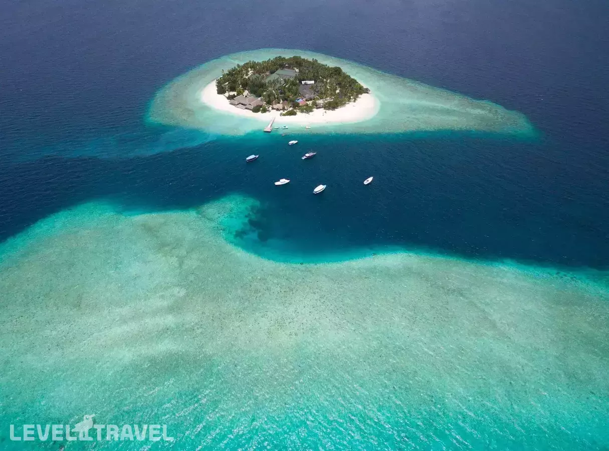 Malahini Kuda Bandos