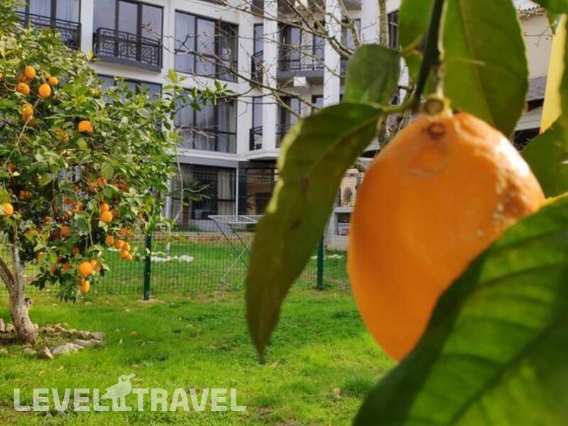 Фотография Гега Отель