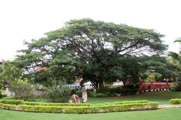 Aguada Anchorage - The Villa Resort