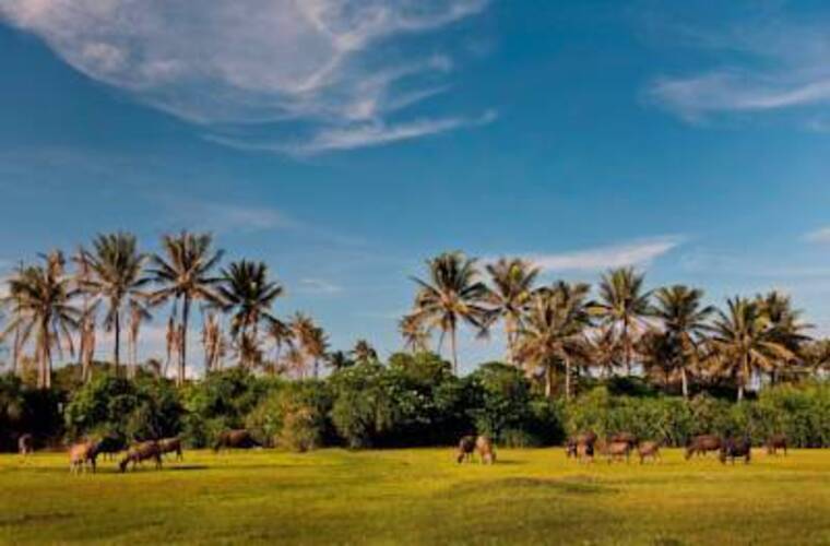 Four Points By Sheraton Shenzhou Peninsula