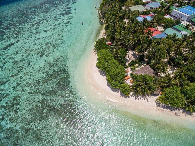 Plumeria Maldives