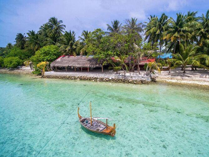 Plumeria Maldives