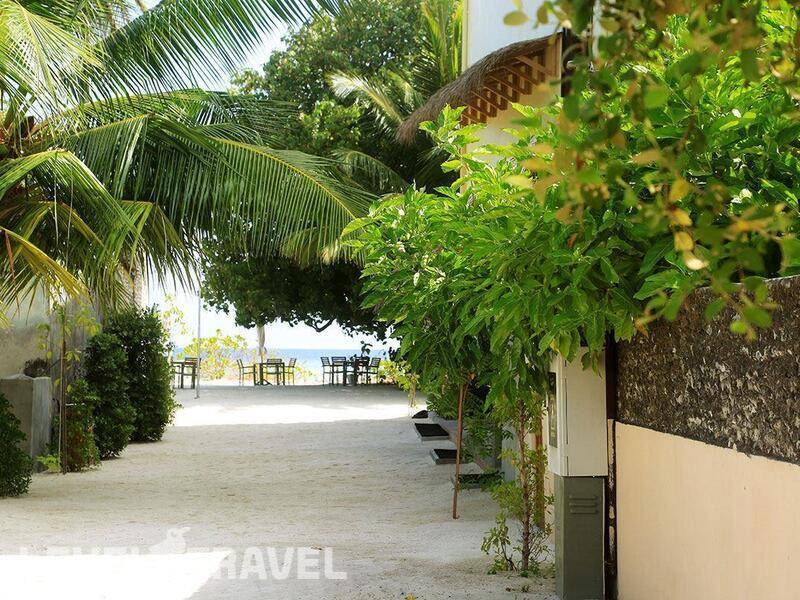 Фотография Plumeria Maldives