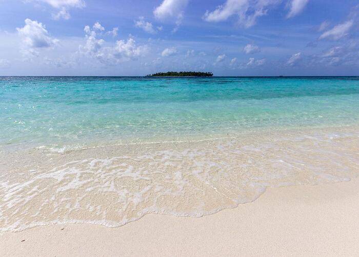 Plumeria Maldives