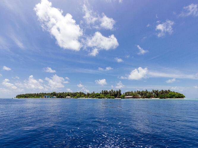 Plumeria Maldives