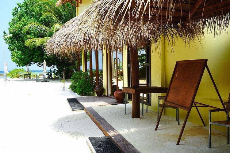 Plumeria Maldives