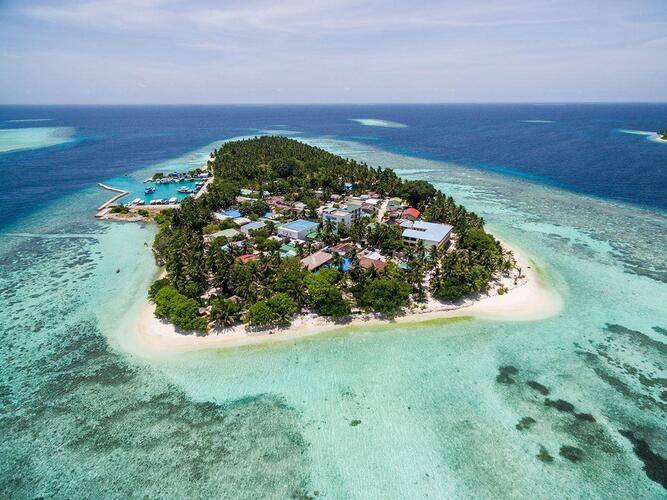 Plumeria Maldives