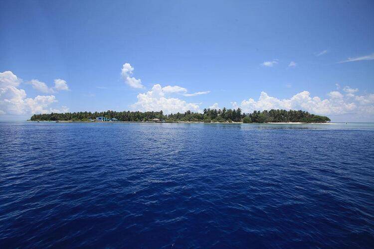Plumeria Maldives