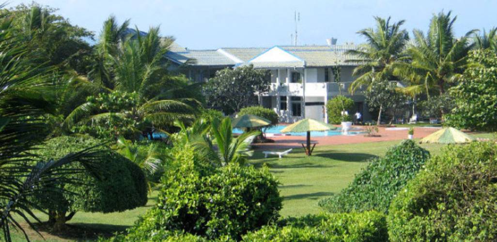 The Oasis