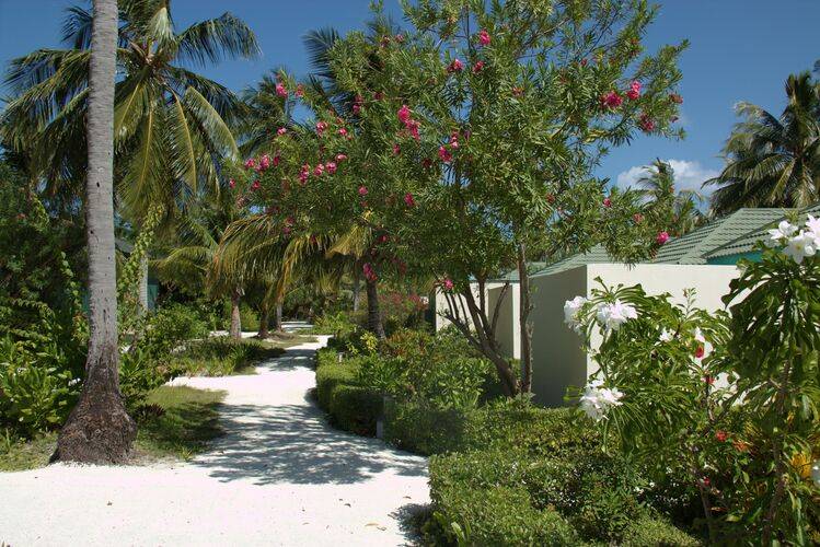 Canareef Resort Maldives (Ex. Herathera Island Resort)