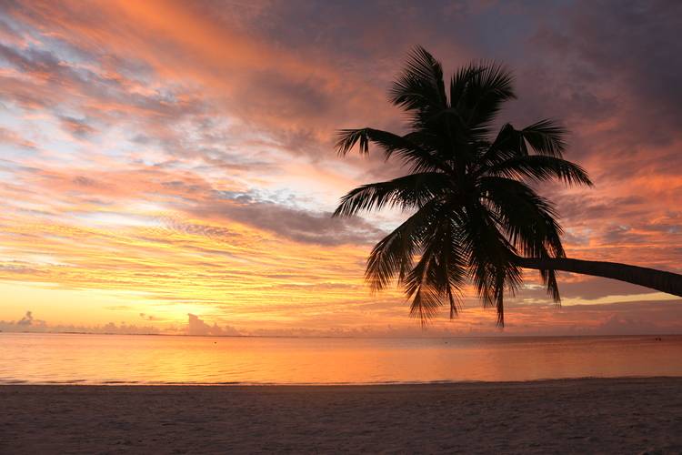 Canareef Resort Maldives (Ex. Herathera Island Resort)