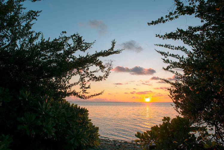 Canareef Resort Maldives (Ex. Herathera Island Resort)