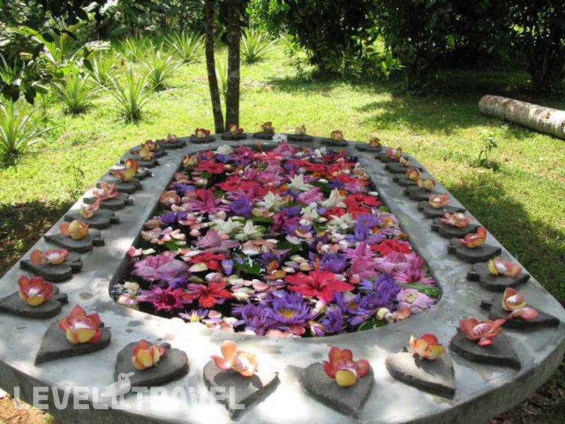 Фотография Peacock Ayurveda Garden